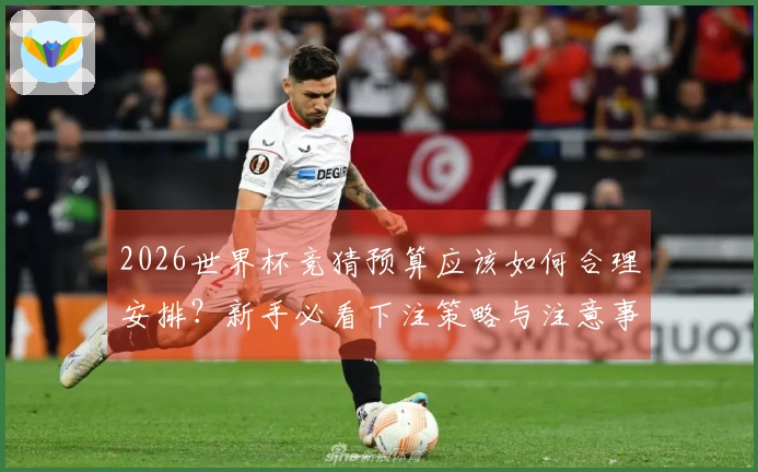 2026世界杯竞猜预算应该如何合理安排？新手必看下注策略与注意事项
