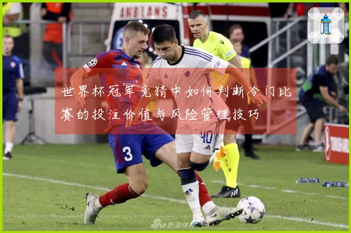 世界杯冠军竞猜中如何判断冷门比赛的投注价值与风险管理技巧