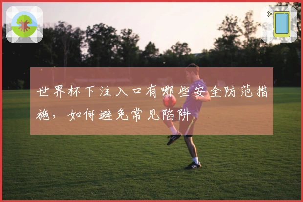 世界杯下注入口有哪些安全防范措施，如何避免常见陷阱