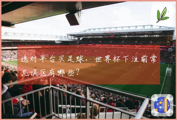 选对平台买足球，世界杯下注前常见误区有哪些？